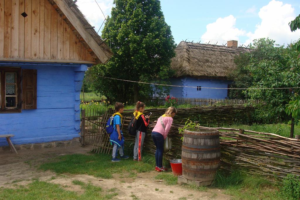 DSC05259