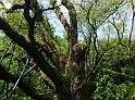 20140521_120614
